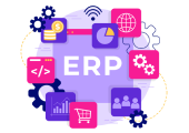 ERP Development
