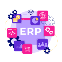 Custom ERP Solution Development